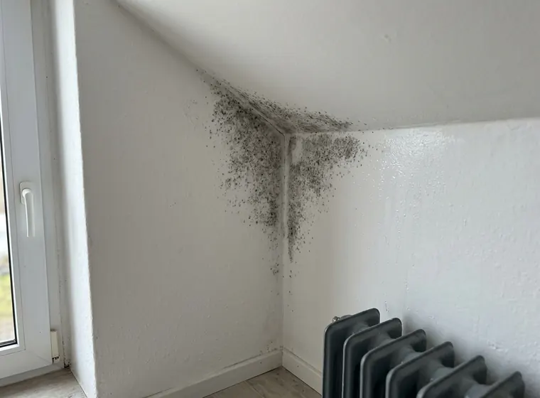 Dunkle Schimmelecke an einer Außenwand im Schlafzimmer